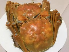 -王宝和酒家(黄浦店)