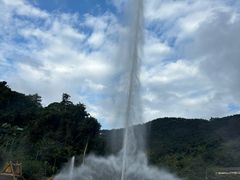 -西双版纳原始森林公园