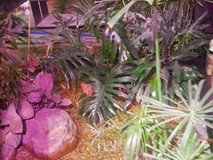-范设计花园餐酒咖·中西餐·咖啡厅·酒馆