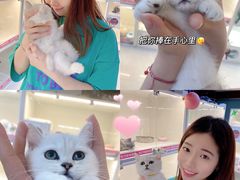 -lincat·猫舍(广州店)