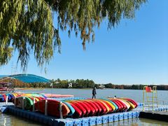 -上海海湾国家森林公园