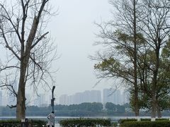 -洋湖国家湿地公园