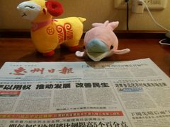 -惠州康帝国际酒店