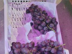 -马陆小张葡萄园农家乐