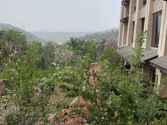-清远熹乐谷温泉度假酒店
