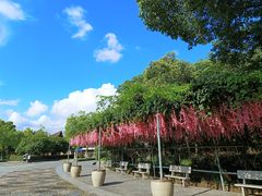-宁波野生动物园