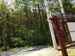 -青龙山国家森林公园
