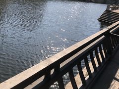 -秦园惠山豆腐花(惠山古镇店)