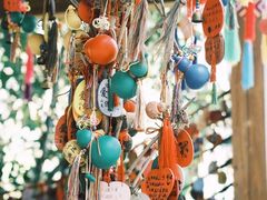 -西双版纳原始森林公园