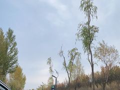 -鄂尔多斯野生动物园