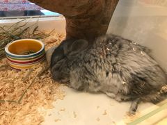 -龙猫仔乐园(惠福东路店)