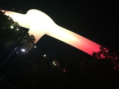 -飞凤山奥体公园