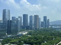 -深圳星河丽思卡尔顿酒店