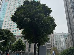 -榆扉·高空City View府邸(广州天河珠江新城正佳广场旗舰店)