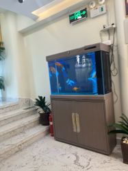 -海涛医疗美容·面部抗衰·注射美鼻