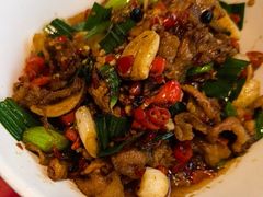 -龙师傅卤炒(天马店)