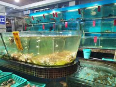 -海大大蒸汽海鲜餐厅·粤菜·特色小炒(欢乐颂店)