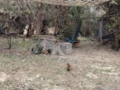 -宁波野生动物园