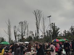 -枫香湖儿童公园