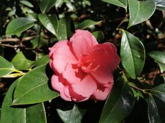 -昆明市金殿名胜区