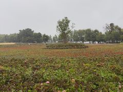 -大理洱海