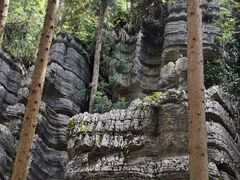 -梭布垭石林景区