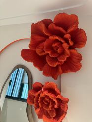 -WENDY·温迪皮肤管理