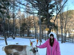 -东北亚滑雪场