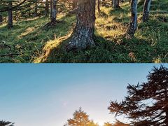 -秦岭风景区