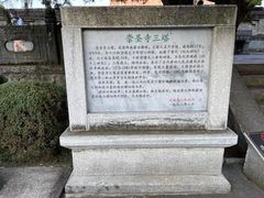 -三塔倒影公园