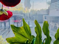 -北平花园·潮玩萌牙·北平咖啡(南锣鼓巷胡同店)