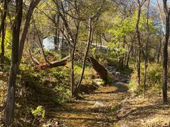 -玉渡山自然风景区