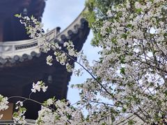-龙华寺