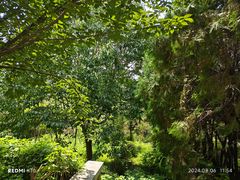-四门塔风景区