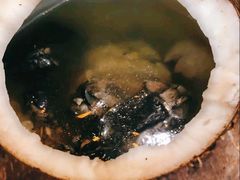 -信行丰炖品皇店(光孝路店)