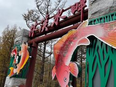 -莫尔道嘎国家森林公园