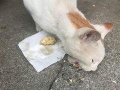 -新疆人(五大街店)