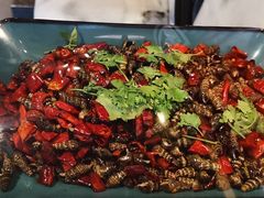 辣炒吸波螺-喝丢一只鞋海鲜烧烤·海肠捞饭(文体街店)