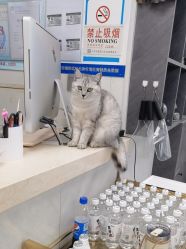 -吉米护肤造型