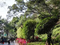 -铁路文化公园