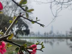 -玄武湖景区-情侣园游乐场