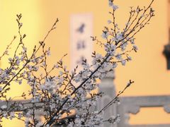 -鸡鸣寺
