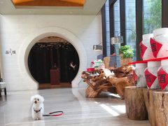 -上海崇明金茂凯悦酒店