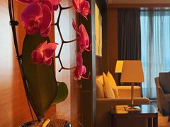-东莞松山湖凯悦酒店