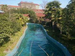 -金孔雀温泉旅游度假村