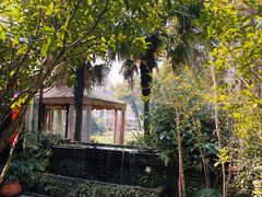 景观位-野蔓果·山野菜(西湖景区·龙井茶田店)