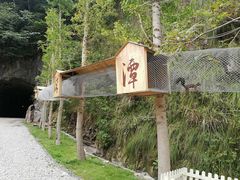 -龙湾潭国家森林公园