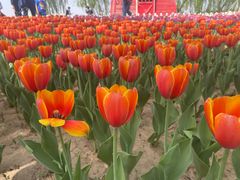 -廊坊文化艺术中心