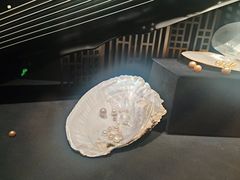 -深圳珠宝博物馆