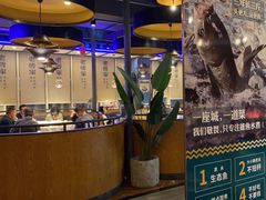 -老傅家湘潭水煮活鱼店(众一国际店)